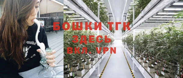 молекула духа Алексин