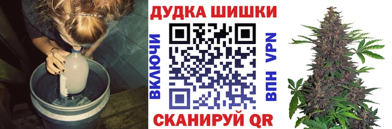 наркотики  Волхов  Бошки марихуана Ganja 